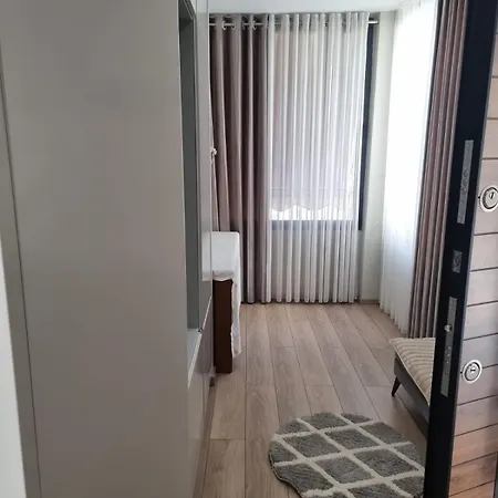 Reos * Tirana